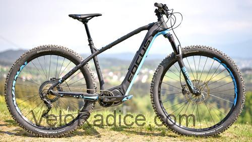 Focus Bold scheda tecnica e recensioni